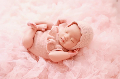 哈密8个月宝宝辅食